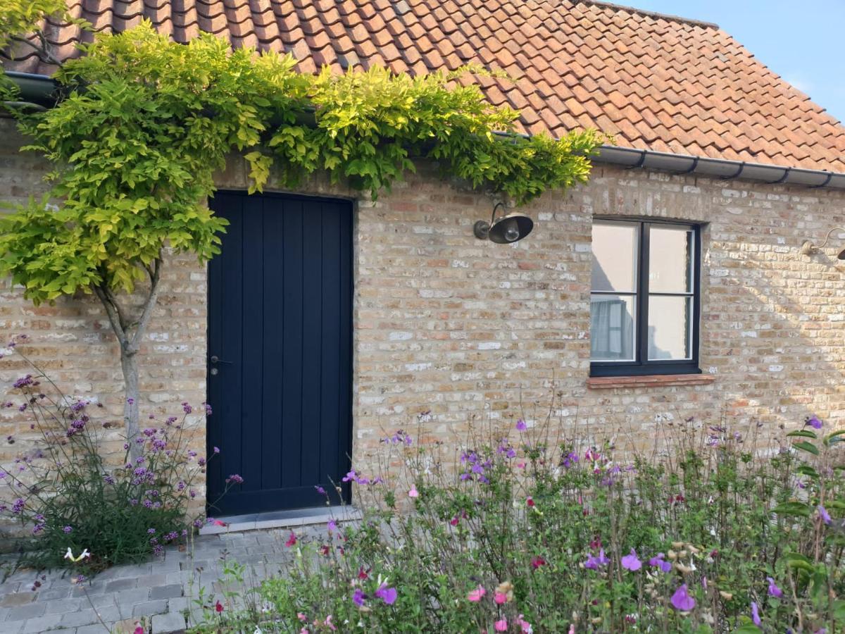 De Levensboom - Het Oud Gemeentehuis ดาเมอ ภายนอก รูปภาพ