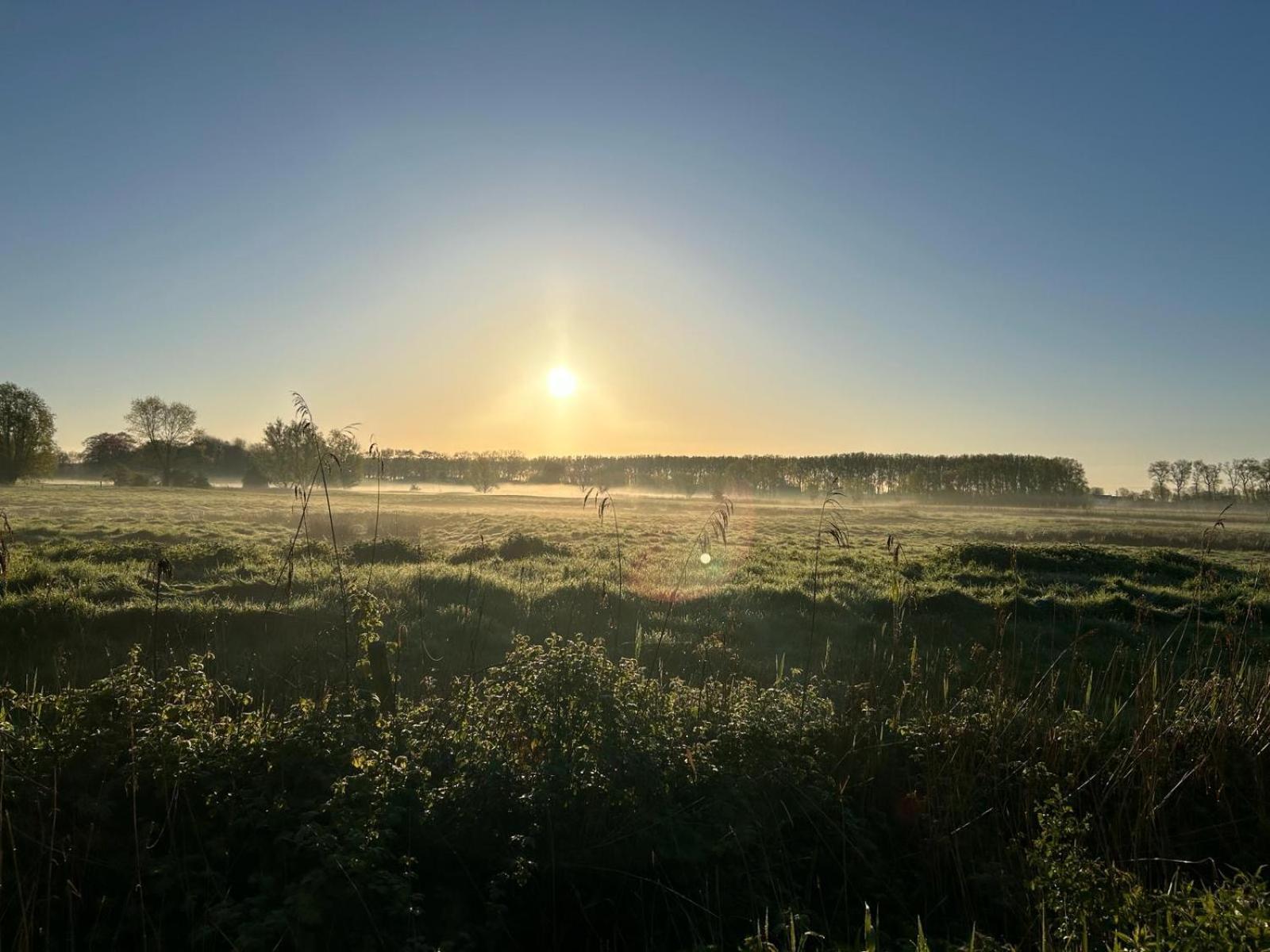 De Levensboom - Het Oud Gemeentehuis ดาเมอ ภายนอก รูปภาพ